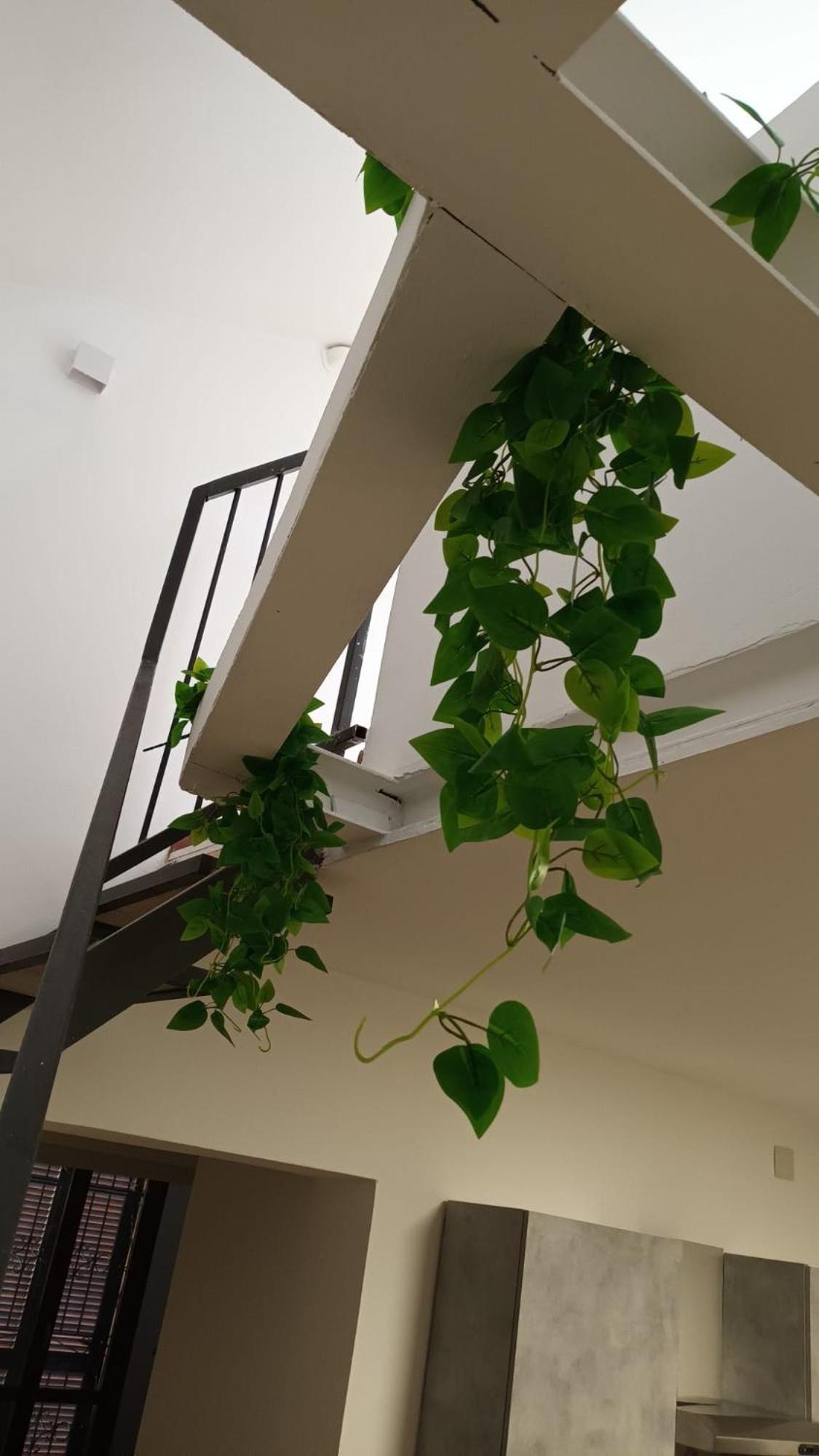 Casa N 1 Con Parcheggio Privato E Colonnina Ricarica Apartman Livorno Kültér fotó